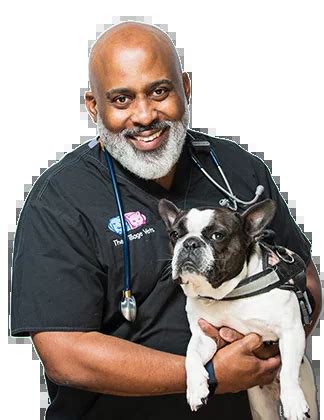 Veterinary Diagnostics in Avondale Estates, GA .